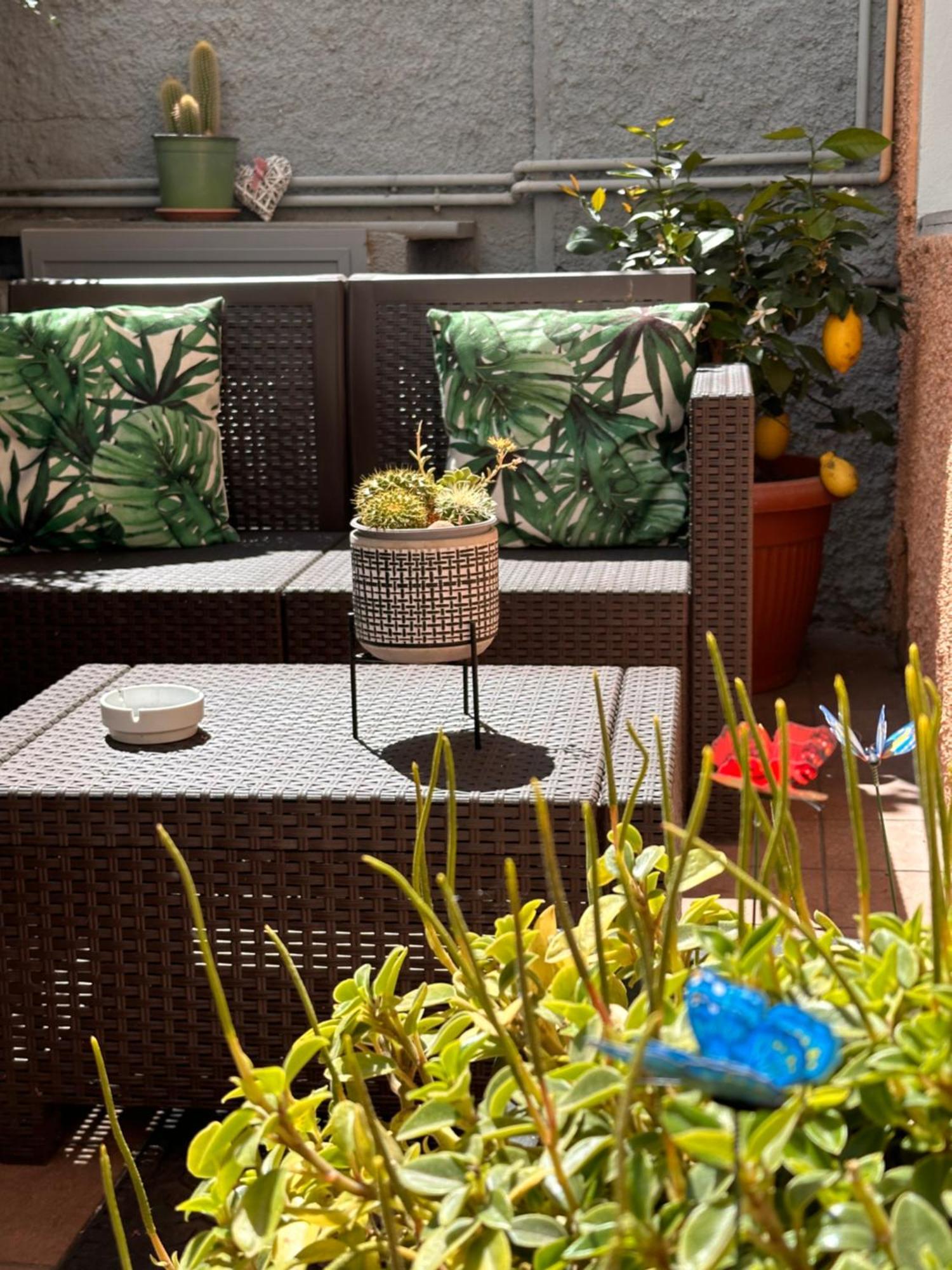 Camere Chicca Sanremo Exterior photo